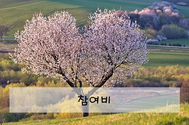 참여비