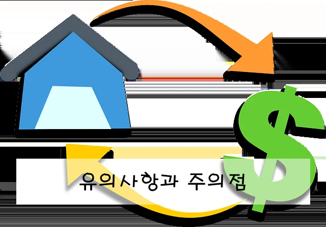 유의사항과 주의점