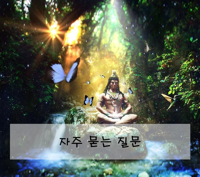 자주 묻는 질문