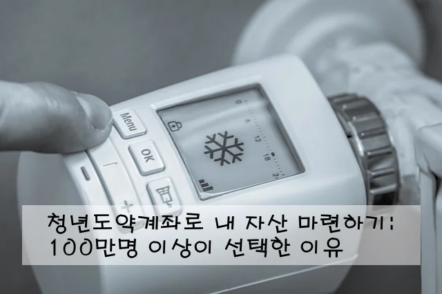 청년도약계좌로 내 자산 마련하기: 100만명 이상이 선택한 이유
