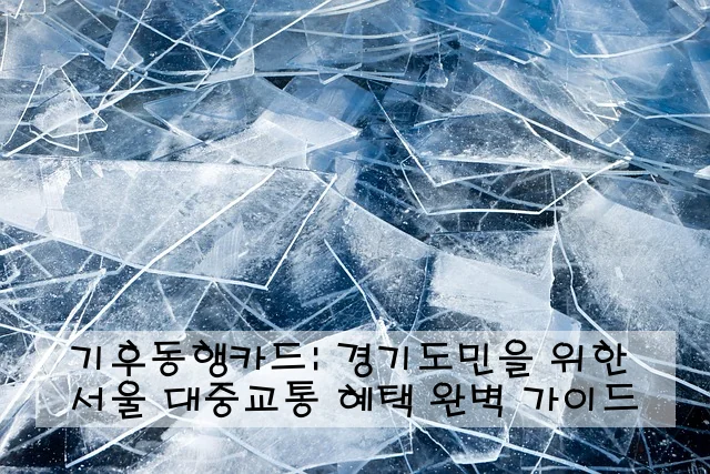 기후동행카드: 경기도민을 위한 서울 대중교통 혜택 완벽 가이드