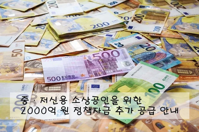 중·저신용 소상공인을 위한 2000억 원 정책자금 추가 공급 안내