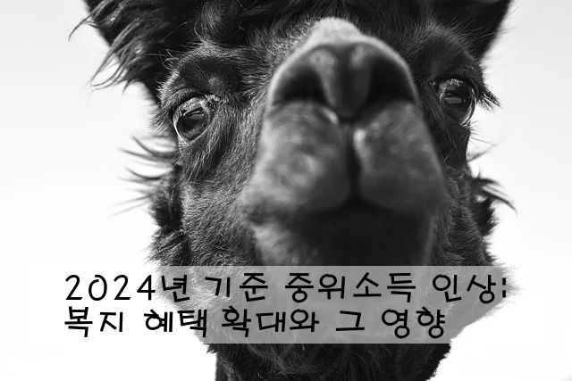 2024년 기준 중위소득 인상: 복지 혜택 확대와 그 영향