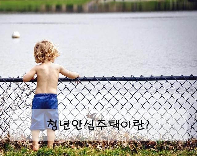 청년안심주택이란?