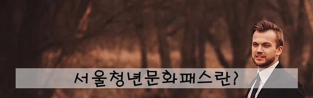 서울청년문화패스란?