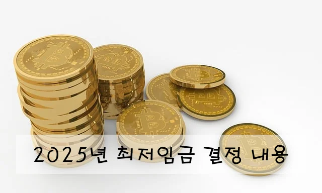 2025년 최저임금 결정 내용