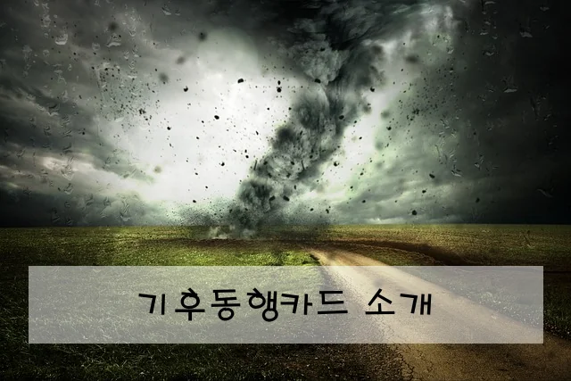 기후동행카드 소개