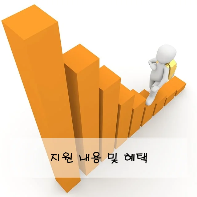 지원 내용 및 혜택