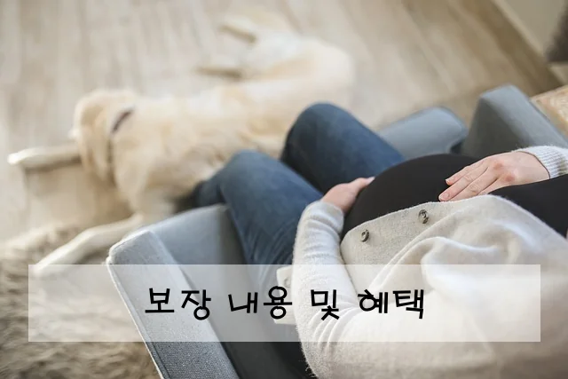 보장 내용 및 혜택