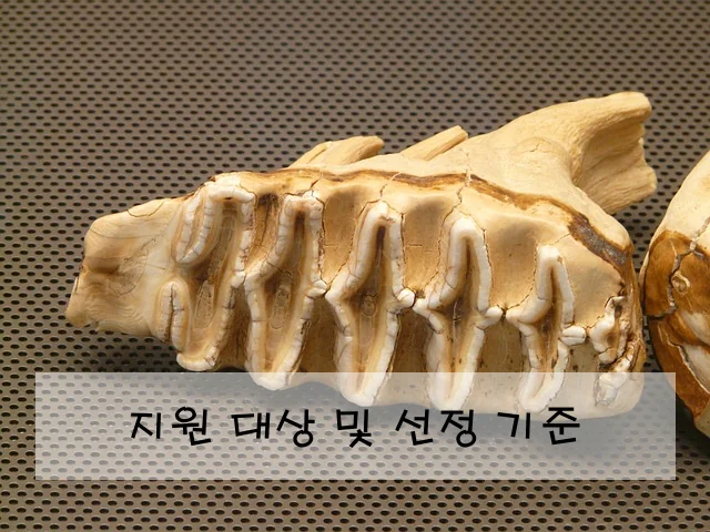 지원 대상 및 선정 기준
