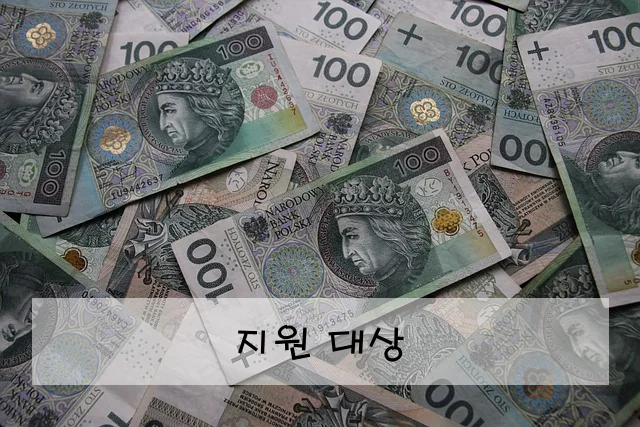 지원 대상