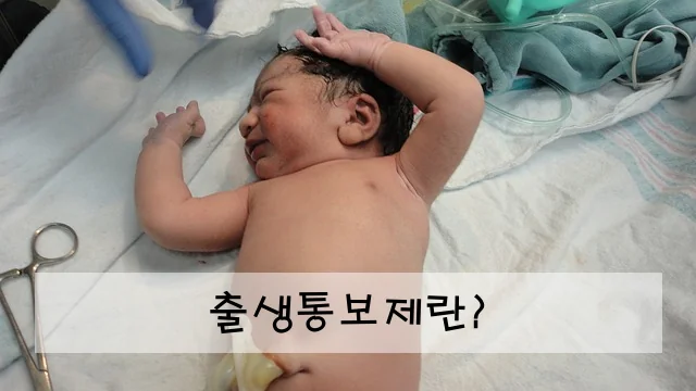 출생통보제란?