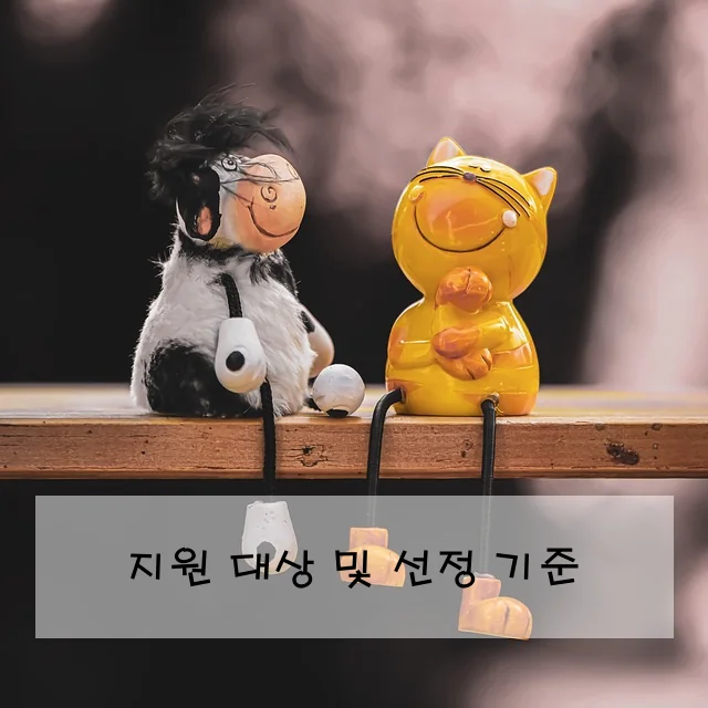 지원 대상 및 선정 기준