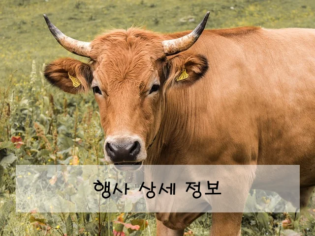 행사 상세 정보