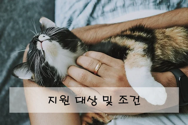 지원 대상 및 조건