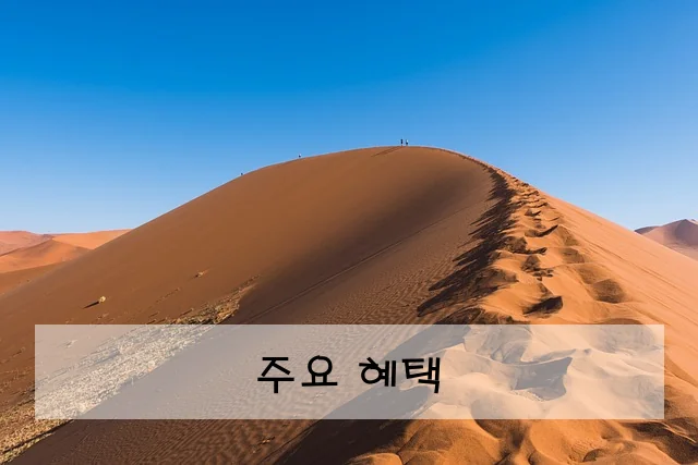 주요 혜택