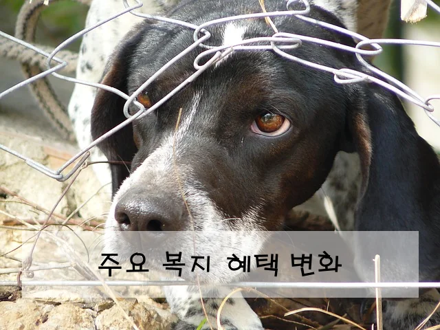 주요 복지 혜택 변화