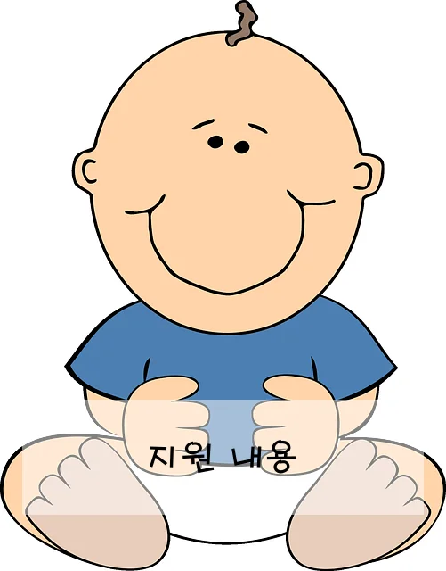 지원 내용