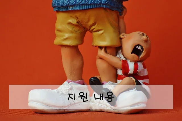 지원 내용
