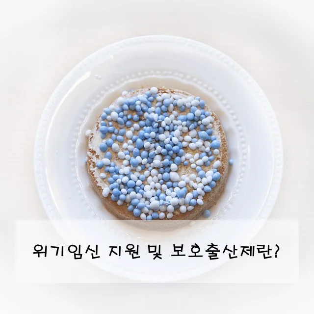 위기임신 지원 및 보호출산제란?