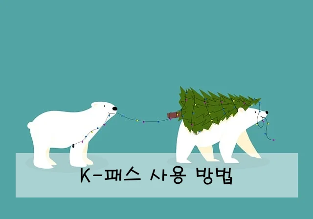 K-패스 사용 방법