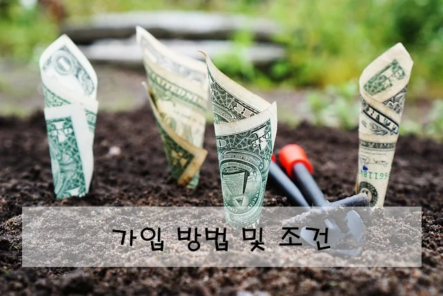 가입 방법 및 조건