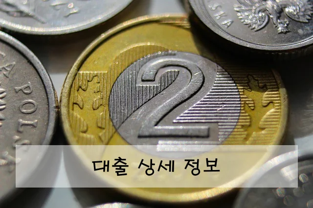 대출 상세 정보