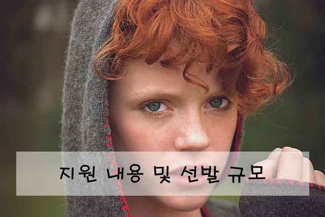 지원 내용 및 선발 규모