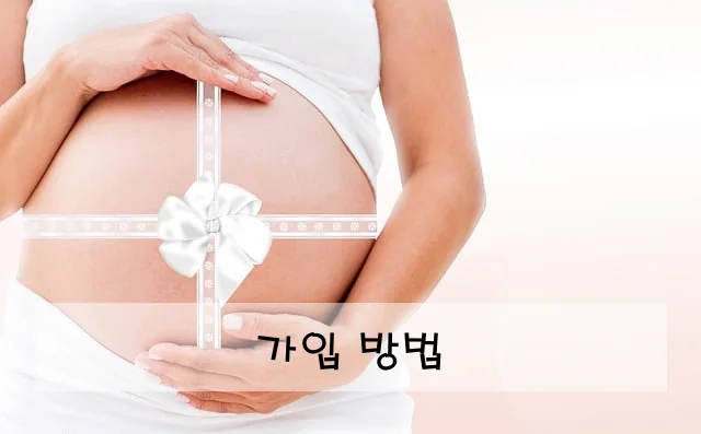 가입 방법