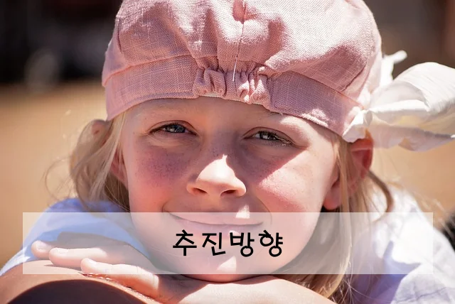 추진방향