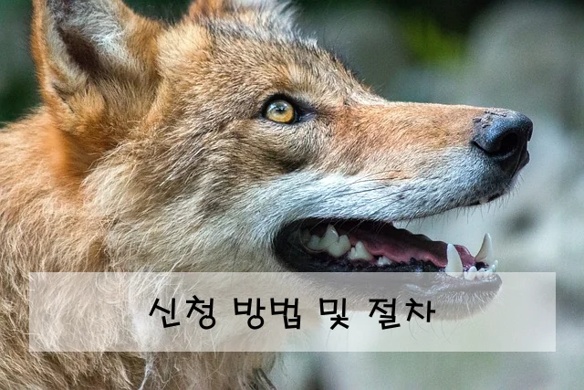 신청 방법 및 절차