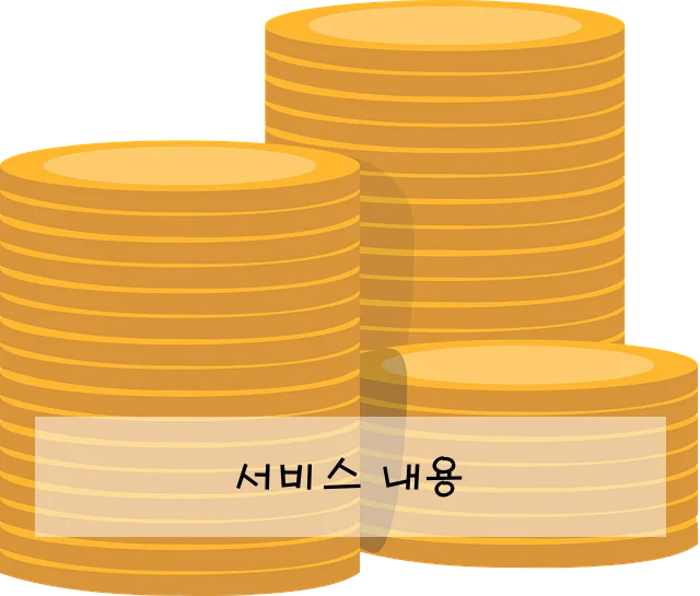 서비스 내용