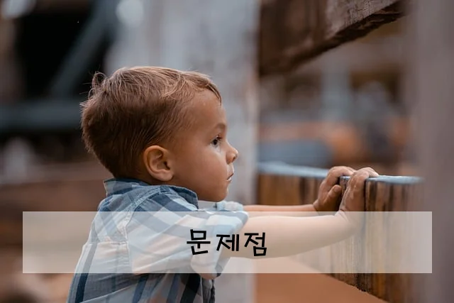 문제점