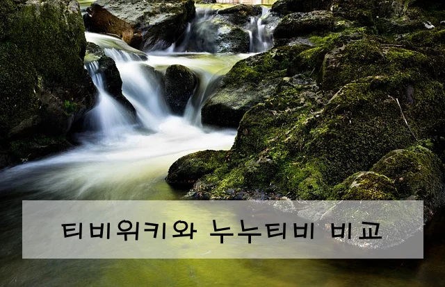 티비위키와 누누티비 비교