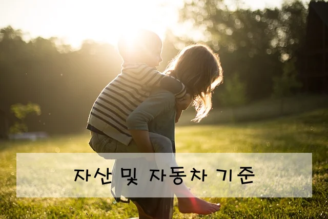 자산 및 자동차 기준