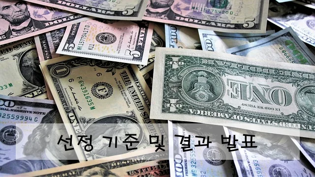선정 기준 및 결과 발표