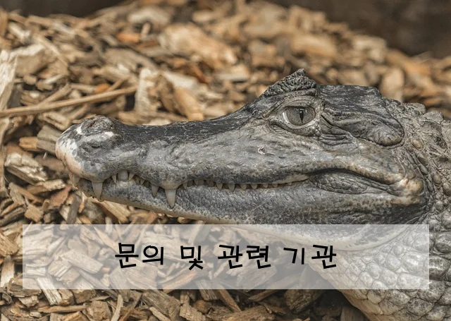 문의 및 관련 기관