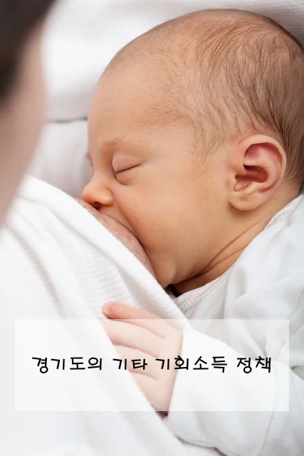 경기도의 기타 기회소득 정책