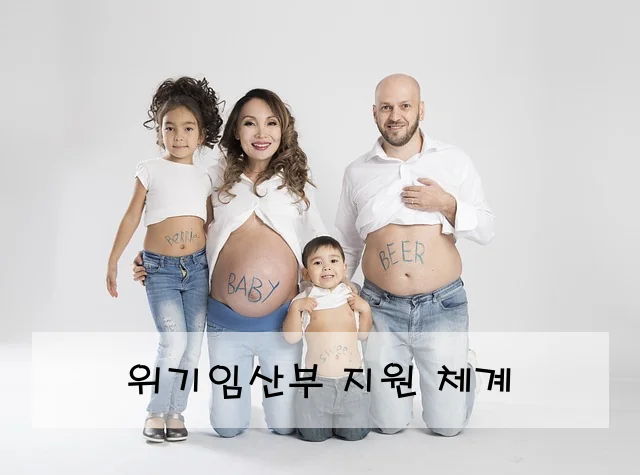 위기임산부 지원 체계