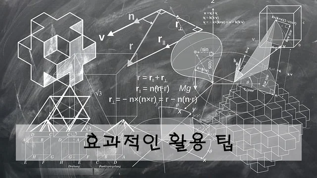 효과적인 활용 팁
