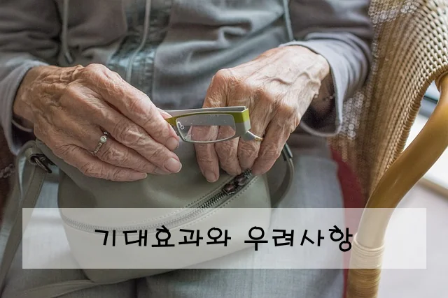 기대효과와 우려사항