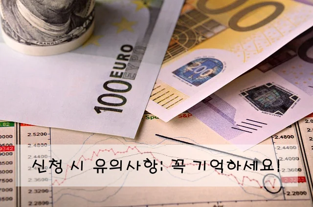 신청 시 유의사항: 꼭 기억하세요!