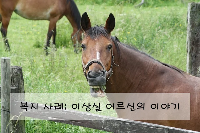복지 사례: 이상실 어르신의 이야기