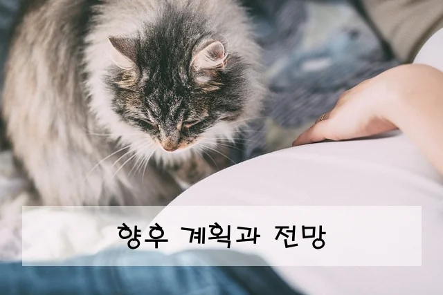 향후 계획과 전망