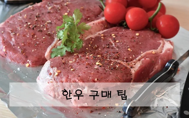 한우 구매 팁