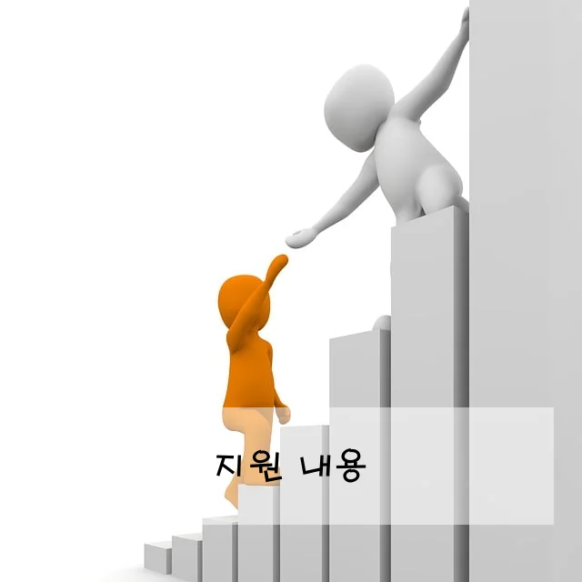 지원 내용