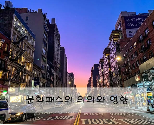문화패스의 의의와 영향
