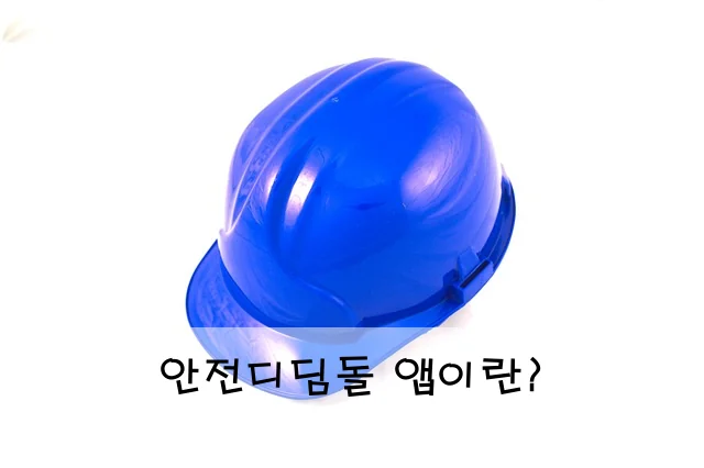 안전디딤돌 앱이란?