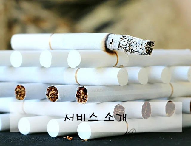 서비스 소개