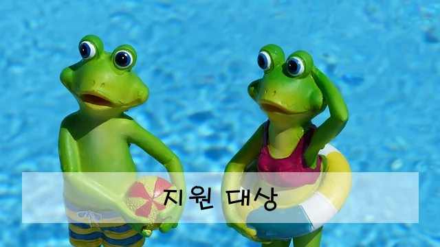 지원 대상